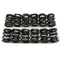 ENG1145 - Valve springs for road engine