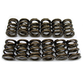 ENG1145A - Valve springs for race engine